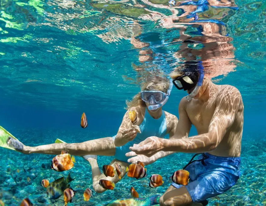 Luxury Snorkeling Adventure